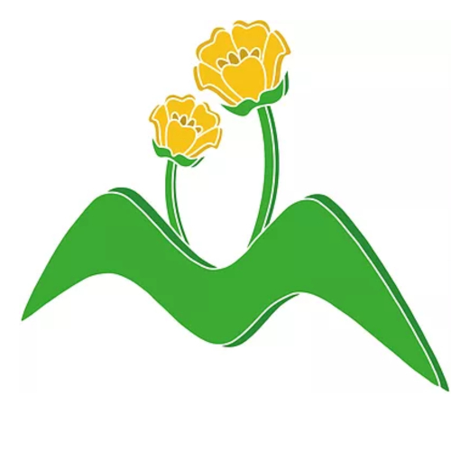 The Meadow Community Primary School
